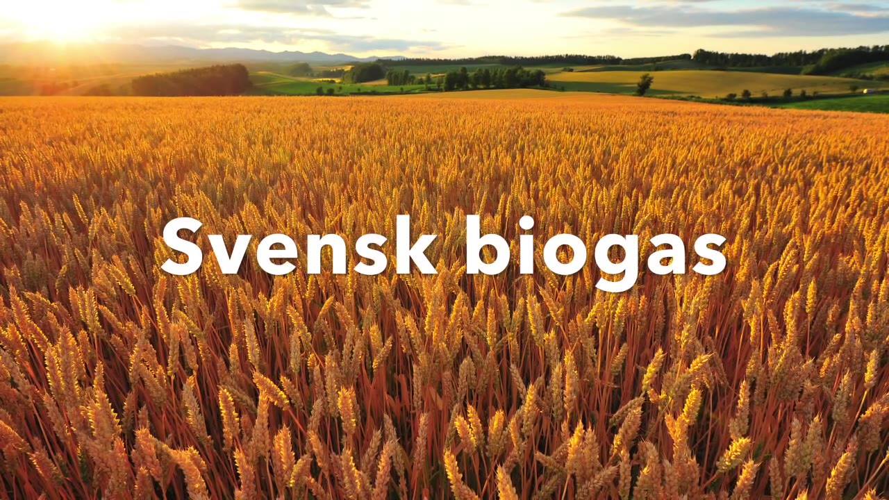 Svensk biogas